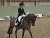 Dressurpferd Beka's Ramazotti (Deutsches Reitpony, 2000, von Beka's Rubin)