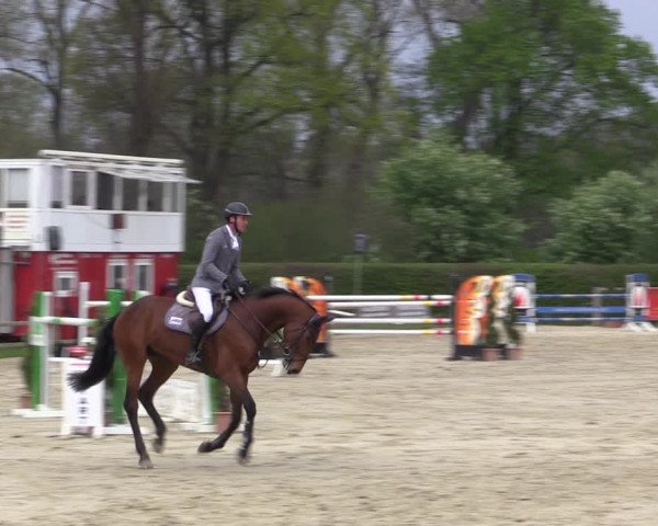 Reitturnier Münster-Handorf 2021