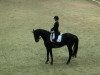 dressage horse Rock me Ruby (Oldenburg, 2006, from Rubinero 2)