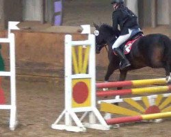 jumper Rasputin (New Forest Pony, 2001, from Rambo)