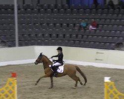 jumper Elin's Kampari (German Riding Pony, 2004, from Kaiserstolz)