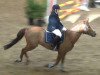 dressage horse Celin 28 (German Riding Pony, 2004, from Kaiserstolz)