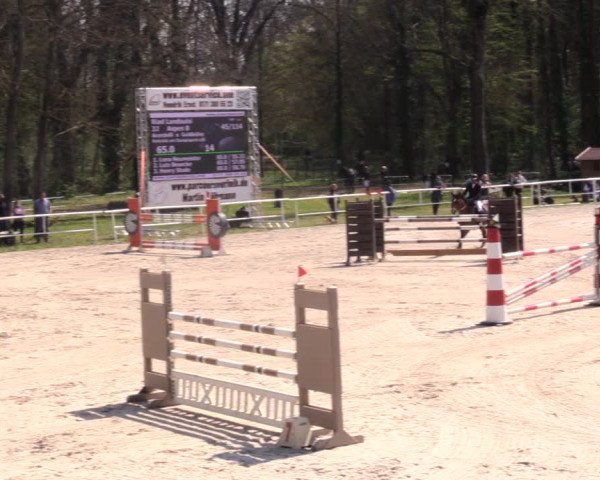 Reitturnier Prussendorf 2021