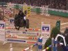 jumper Chapot 5 (Oldenburg show jumper, 2005, from Chambertin)