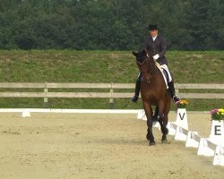 dressage horse Livendo 2 (Hessian Warmblood, 2000, from Lambada)