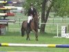 jumper Biscaya 43 (Hanoverian, 1996, from Brentano II)