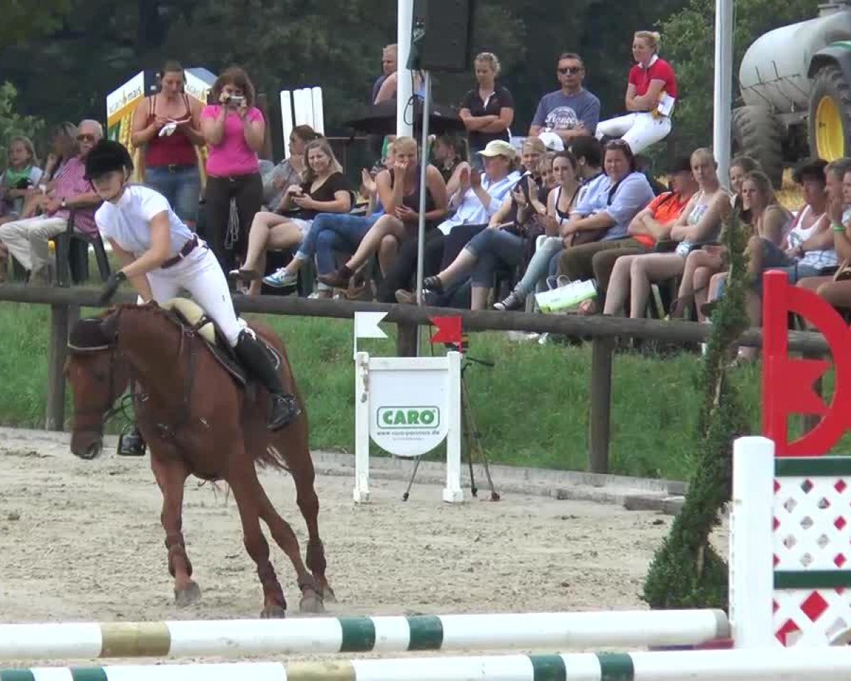 broodmare Cleopatra 205 (Zangersheide riding horse, 2005, from Caritano Z)