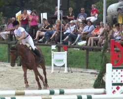 broodmare Cleopatra 205 (Zangersheide riding horse, 2005, from Caritano Z)