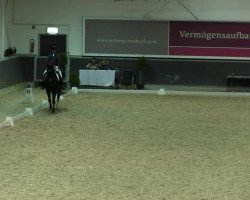 dressage horse Lifetime 11 (Saxony-Anhaltiner, 2002, from Long Island)