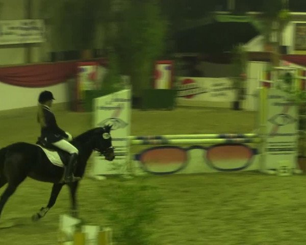 jumper Nice Nicolina (German Riding Pony, 2000, from Croupier)