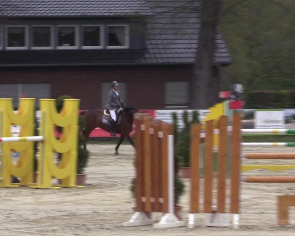 Reitturnier Münster-Handorf 2021