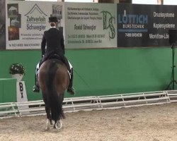 dressage horse Valentinho (Hanoverian, 1999, from Von Velten)