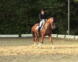 dressage horse Wescara (Hanoverian, 2001, from Welser)