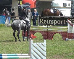 dressage horse Escalat 2 (Hanoverian, 2004, from El Bundy)