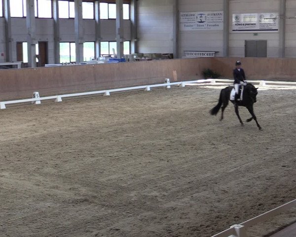 Reitturnier Prussendorf 2021
