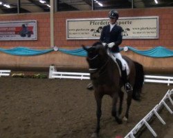 dressage horse Duprie (Hanoverian, 2005, from Don Frederico)