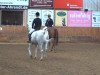 dressage horse Herr von Bödefeld 2 (Trakehner, 2003, from Fabricio)