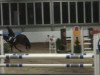 jumper Warona 5 (KWPN (Royal Dutch Sporthorse), 2003, from Ovidius)