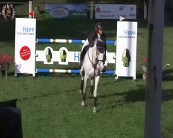 jumper Accimel (Hanoverian, 2000, from Acorado I)