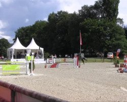 jumper Balou Abdullah (Zangersheide riding horse, 2005, from Balou du Rouet)