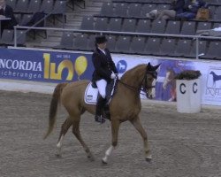 dressage horse Rosalie 128 (Hanoverian, 2004, from Rotspon)