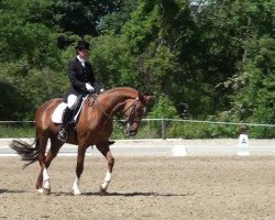 dressage horse Frederik 82 (Rhinelander, 1998, from Fidermark)