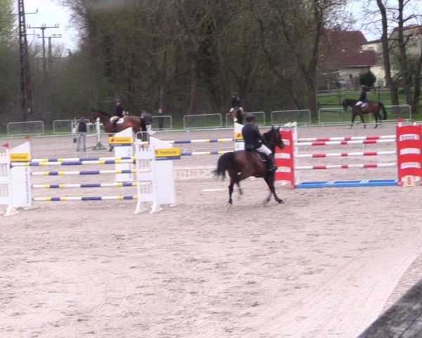 Reitturnier Prussendorf 2021