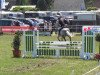 jumper Enzo 82 (German Sport Horse, 2003, from Expo'se)