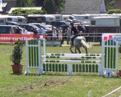 jumper Enzo 82 (German Sport Horse, 2003, from Expo'se)