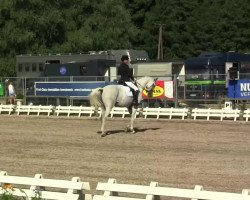 dressage horse Emanze 12 (German Sport Horse, 2003, from Expo'se)