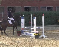 dressage horse Helize (Trakehner, 2006, from Buddenbrock)