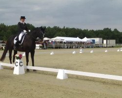 dressage horse Worldclass 2 (Hanoverian, 1998, from Wittinger)