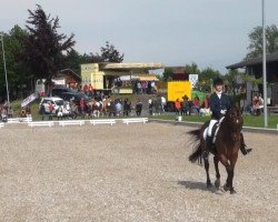 dressage horse Pik Aliud (Westphalian, 2000, from Pik Labionics)