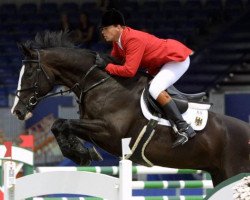 jumper Esprit FRH (Hanoverian, 1985, from Eiger I)