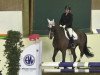 jumper Timbo 3 (KWPN (Royal Dutch Sporthorse), 2000, from No Limit)