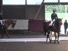 dressage horse Loving Lucy (Württemberger, 2005, from Loving Dancer)