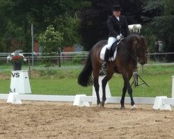 dressage horse Hillary L. (Hanoverian, 2004, from His Highness)