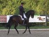 dressage horse Diamonit II (Oldenburg, 2004, from Diamond Hit)