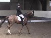 dressage horse Loriot 333 (Hanoverian, 2005, from Laurentio)