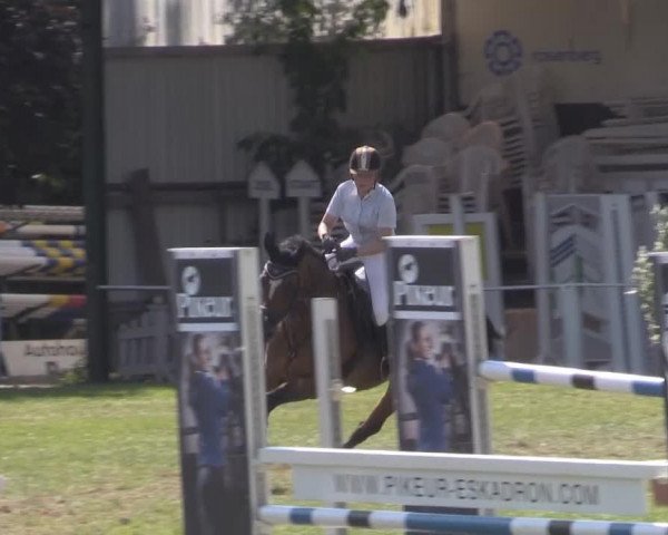 jumper Wotherspoon (KWPN (Royal Dutch Sporthorse), 2003, from Perion)