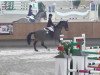 jumper Walk About Creek 2 (KWPN (Royal Dutch Sporthorse), 1999, from Havidoff)