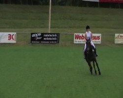 dressage horse Lando C (Württemberger, 2000, from Lancaster)