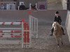 jumper Niklas 96 (Haflinger, 2000, from Nebeltanz)