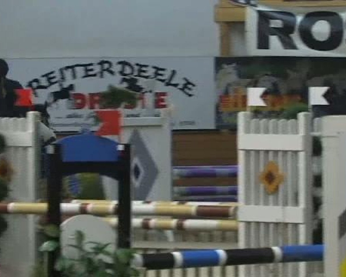 Pferd Nature One (Deutsches Reitpony, 2003, von Nobelprinz)