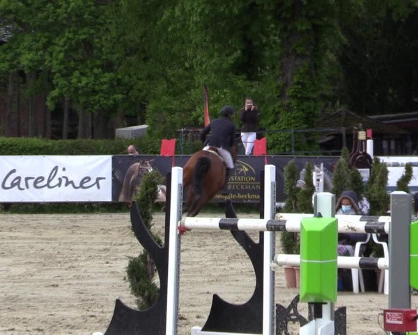 Reitturnier Münster-Handorf 2021