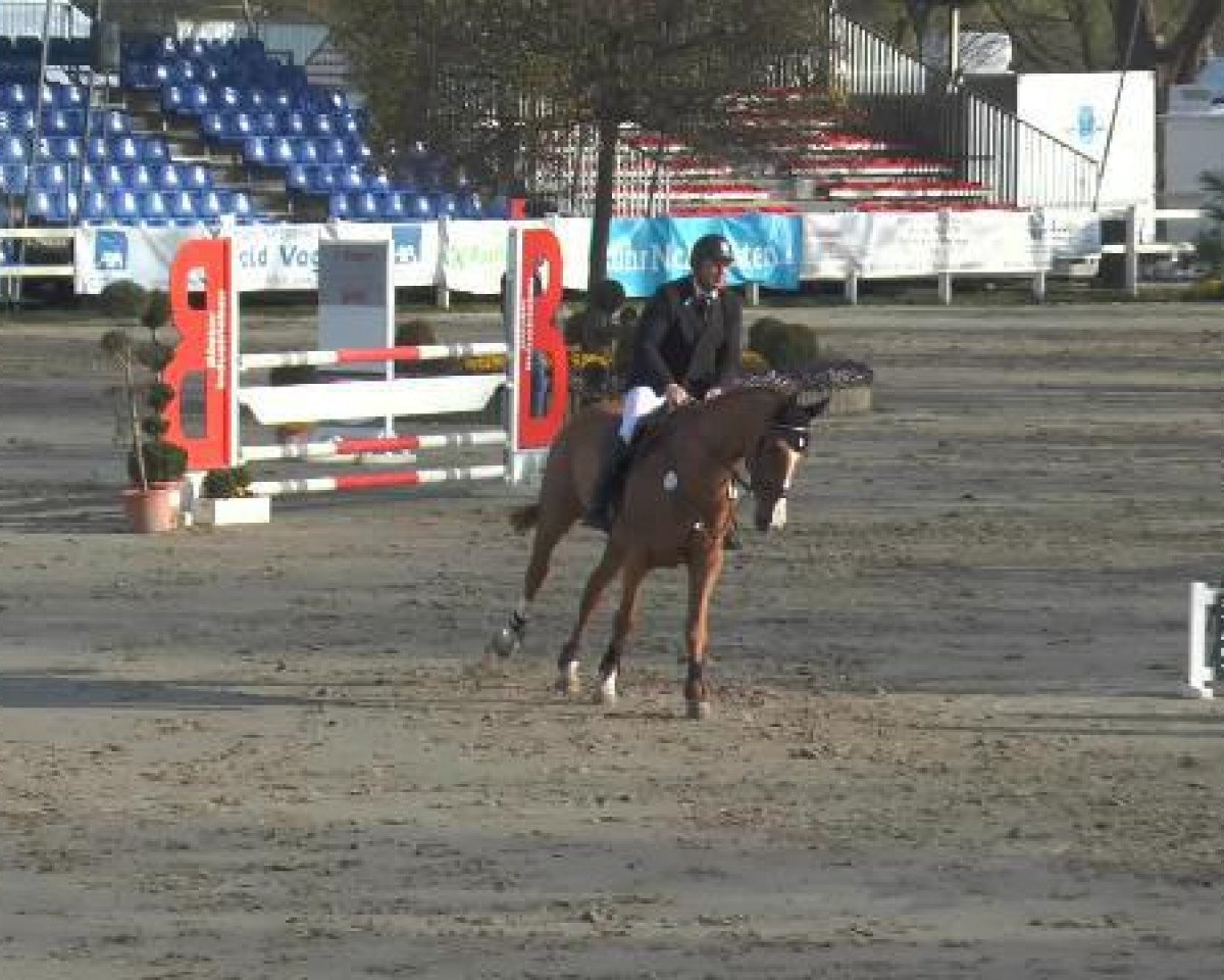 jumper Cassandro 68 (Rhinelander, 2009, from Contello)