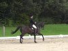 dressage horse Herzenswunsch 2 (Westphalian, 2005, from Hohenstein I)