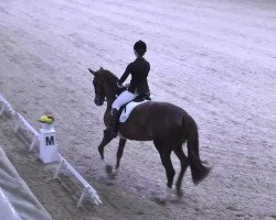 dressage horse Kassandra 188 (Oldenburg, 2006, from Fürst Heinrich)