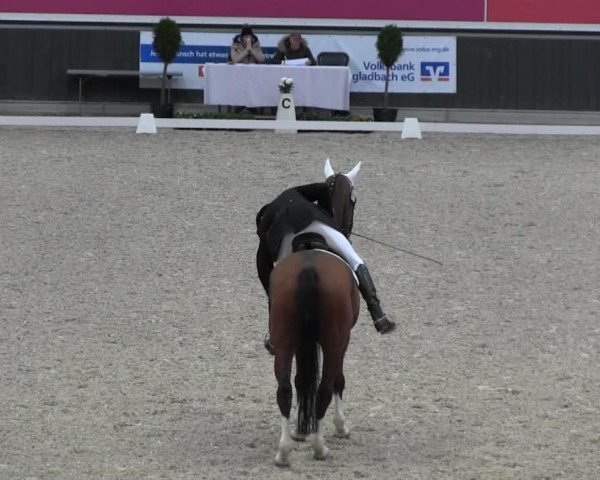 dressage horse Florestanus (Westphalian, 1998, from Florestan I)