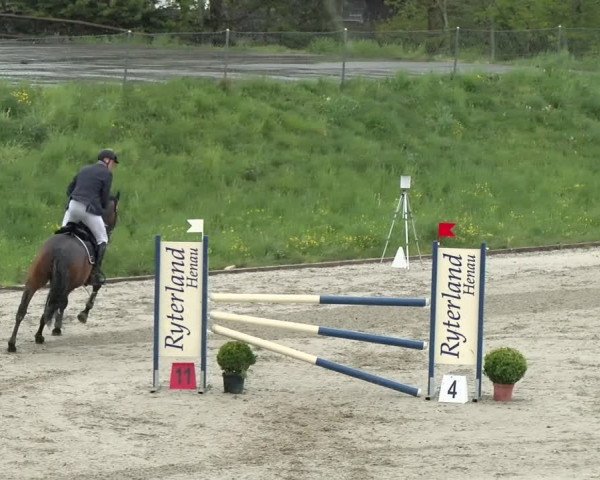 Reitturnier Schaffhausen 2021